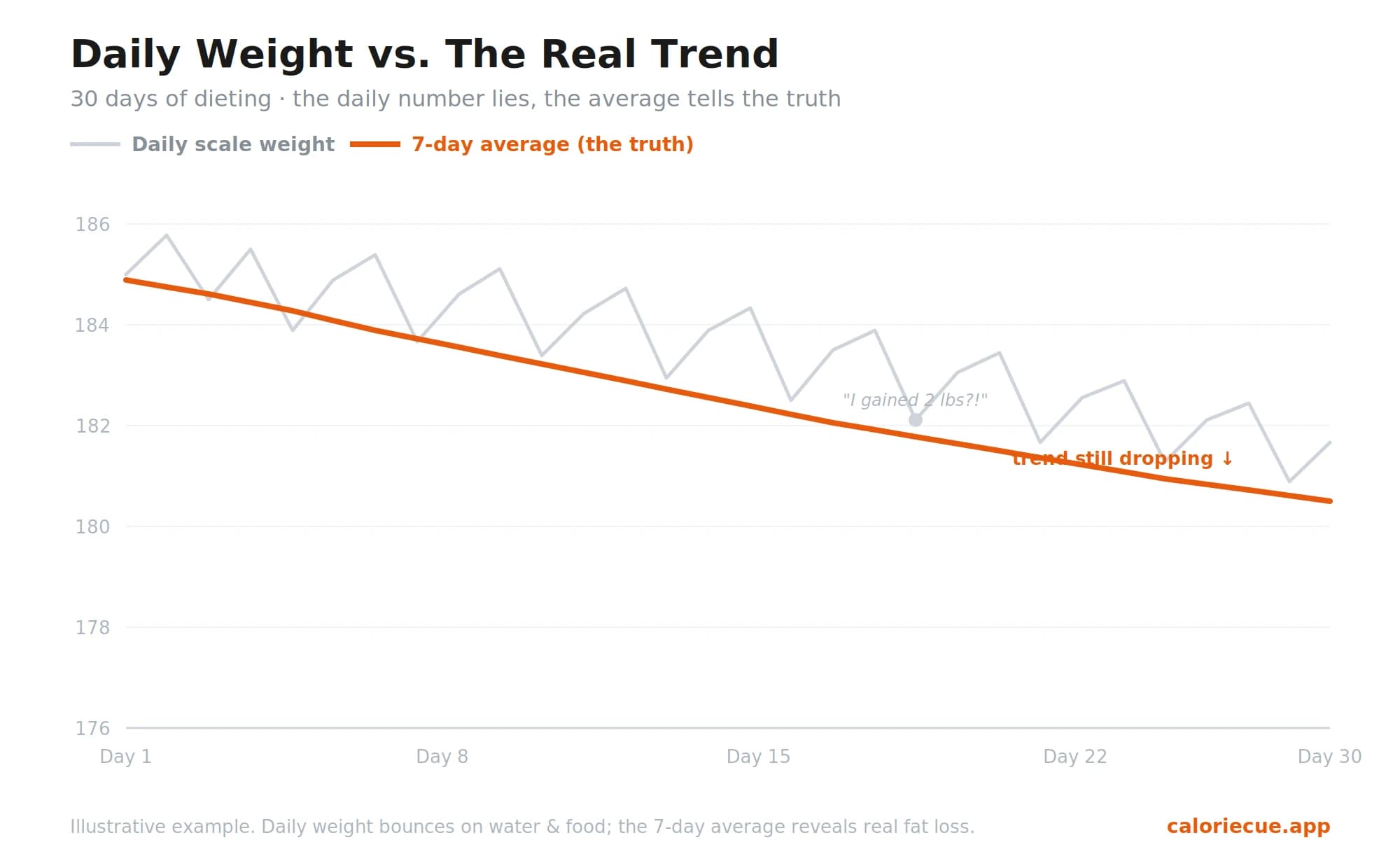 Line chart showing jagged daily scale weight bouncing up and down while the smooth 7-day average trends steadily downward.