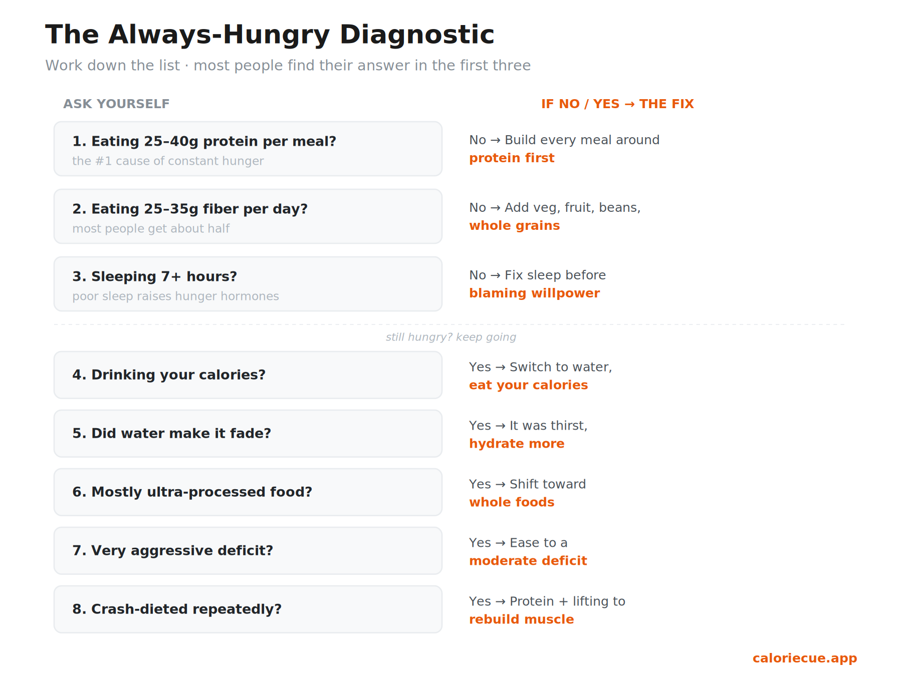 Flowchart guiding the reader through hunger causes: checking protein, fiber, sleep, hydration, liquid calories, and crash dieting to find their specific fix