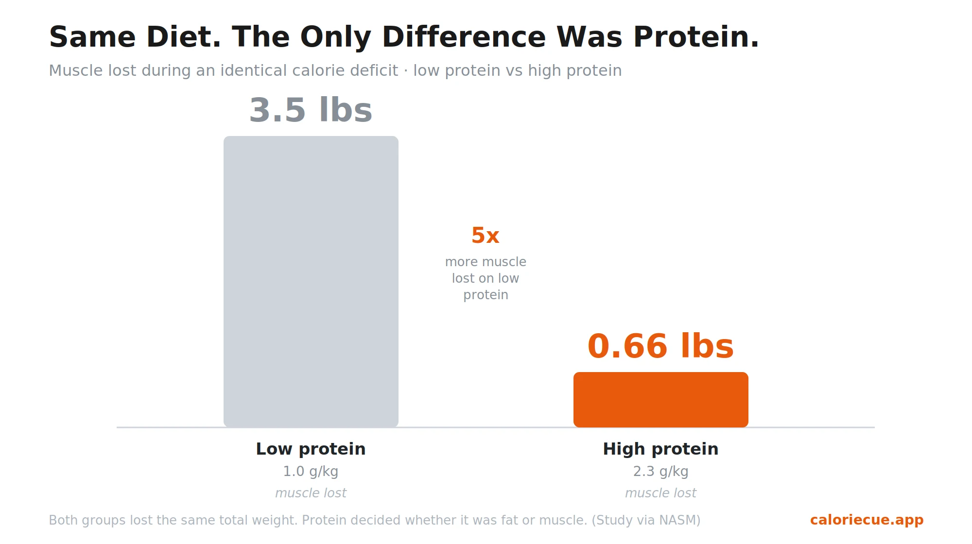 Bar chart showing that during the same calorie deficit, a low-protein group lost 3.5 pounds of muscle while a high-protein group lost only 0.66 pounds